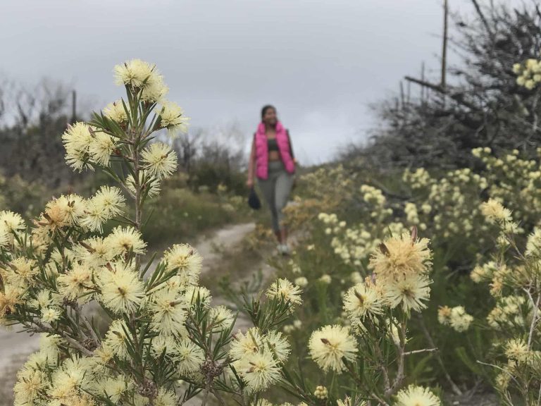 att.DJqC2CD6GZSSzdRnj0_Wc-f600xuCrj5uJ-k2sHkWoU